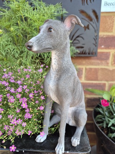 Whippet dog ornament - blue, &