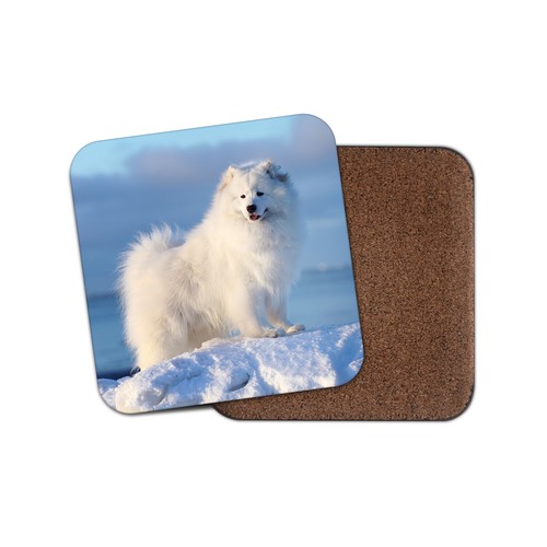 White samoyed dog coaster - dog,