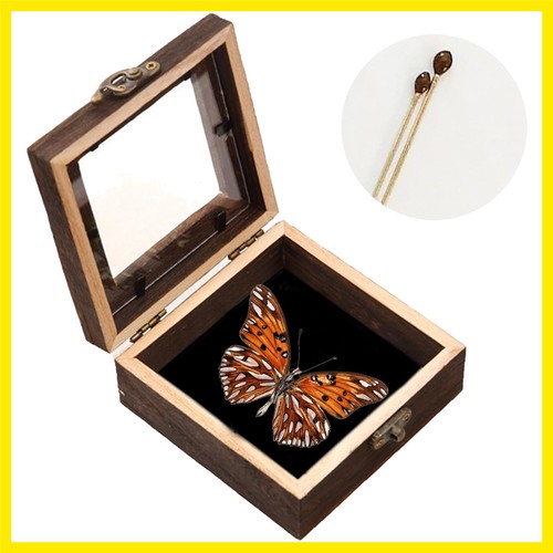 Butterfly display case - display, shadow