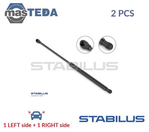 950077 tailgate boot struts - 950077,