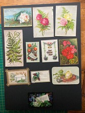 Small joblot floral fauna Victorian greetings cards B
