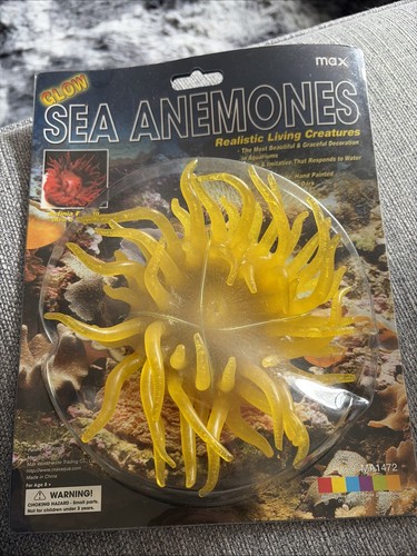 Glowing inch sea anemone - 6,