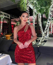 ZARA Red Velvet Sequin Mini