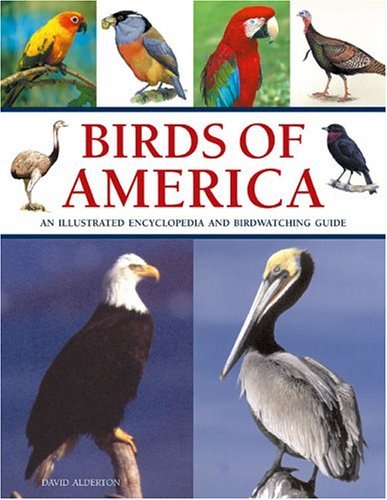 Birds america an - of, america: