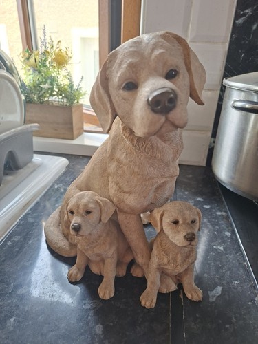 Leonardo collection labrador - leonardo,