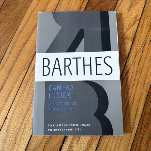 Camera lucida reflections - :,