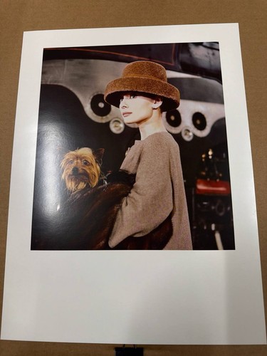 Audrey hepburn color photo - audrey,