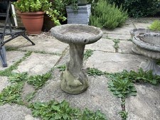 CONCRETE FOX CUBS PLAYING BIRD BATH