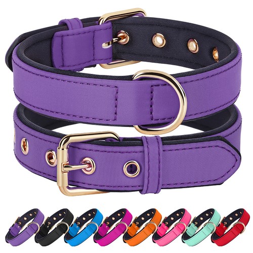 Waterproof dog collar - dog,