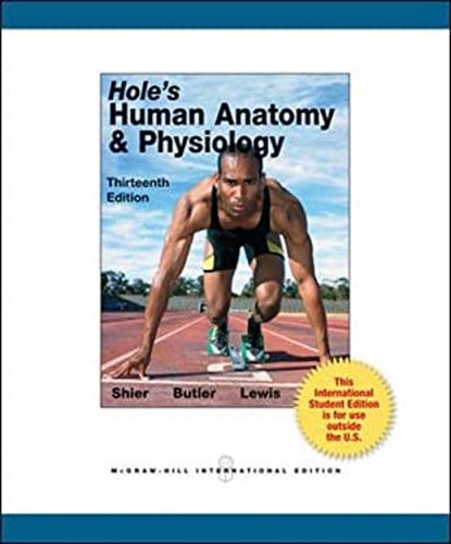 Hole human anatomy and - human,