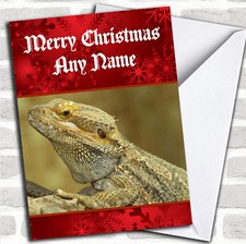 Bearded Dragon Lizard