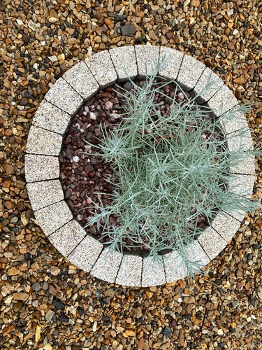 Garden bricks circle tree - circle,