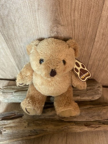 New teddy bear - bear, 4”