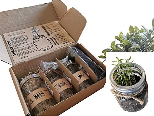 Set indoor herb garden - of,
