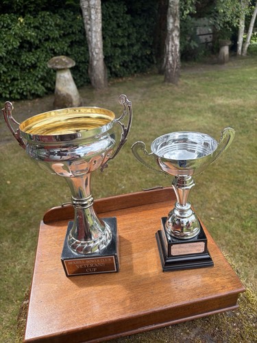 Two modern trophy - , +