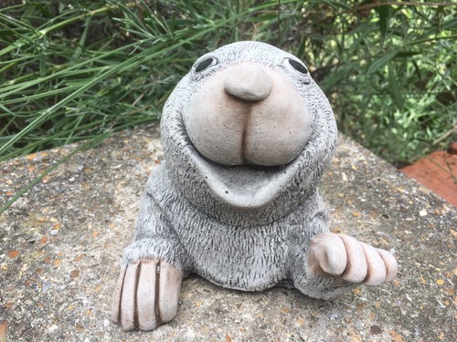 Waving mole garden - garden, ornament
