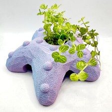 Shrimp Hide Starfish Cave | Aquarium Plant Pot | Small Fish Tank Cave Shelter