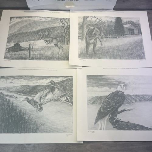 Limited edition wildlife - limited,