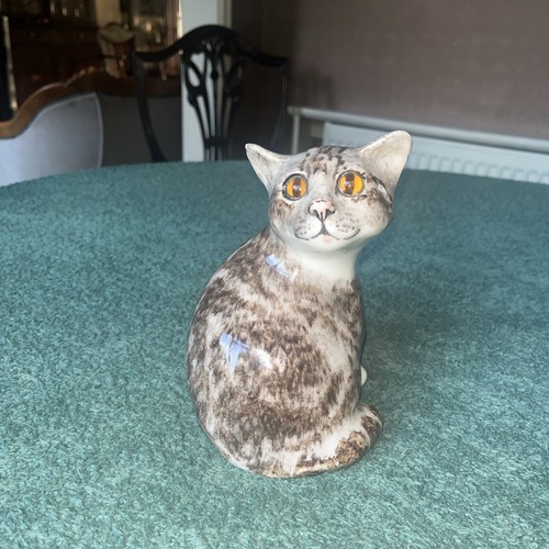 Winstanley tabby cat - ,