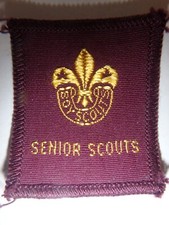 1960s Senior Scouts rectangle