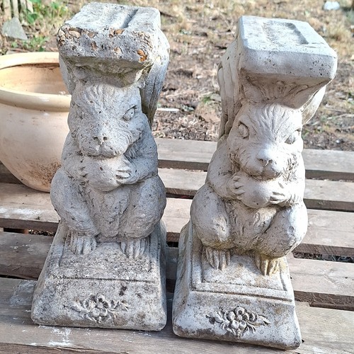 Pair grey stone - stone, squirrel