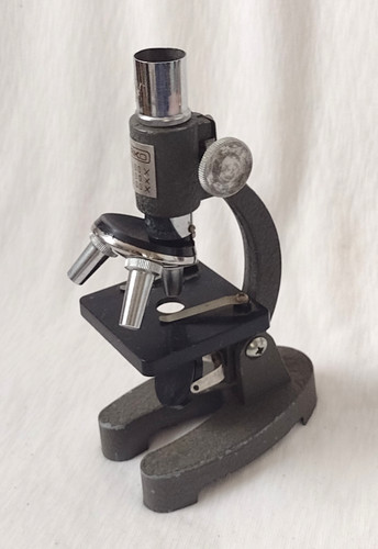 Small king microscope - microscope, in