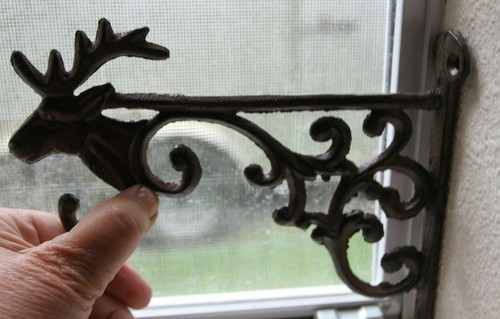Stag antler cabin window - window, decor