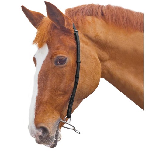 Velociti gara chifney strap - velociti,
