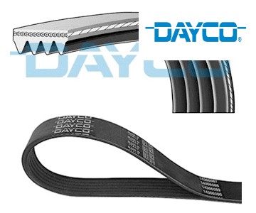 Ribbed belt 4pk905 dayco - belt,