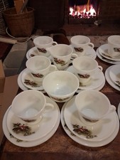 JAJ Pyrex Tally Ho Hunting