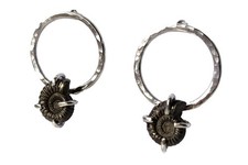 Pyrite Ammonite Fossil