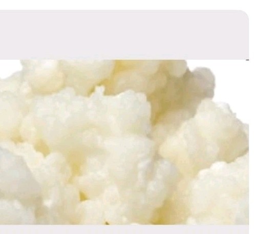 20g organic live - organic,