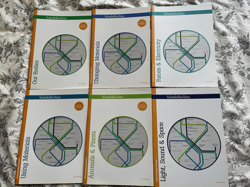 Schofield sims understanding - sims,