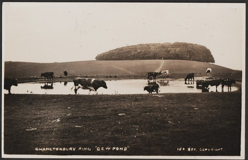 Chanctonbury dew pond postcard - chanctonbury,