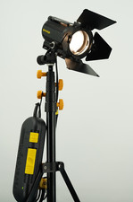 Dedolight DLH4 (with Europlug) - Good Condition