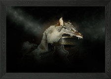 The roman helmet Framed Wall