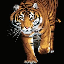 LUXURY 3D WALKING TIGER ANIMAL