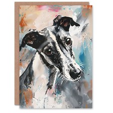 Cute Greyhound Whippet Dog