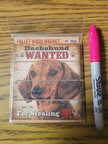 Pallet wood magnet - magnet, new