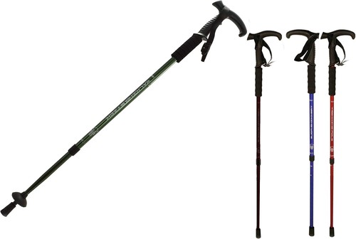 Section aluminium telescopic - 2,