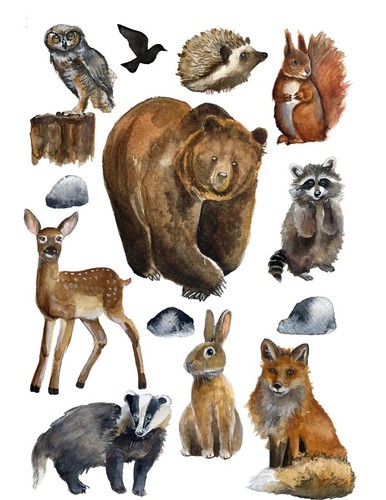 Watercolour woodland animals - woodland,
