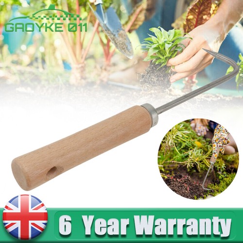 Weed remover tool stainless - tool,