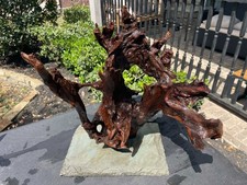DRIFTWOOD MALAYSIAN AQUARIUMS
