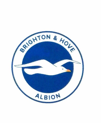 Brighton hove albion v - albion, kauno