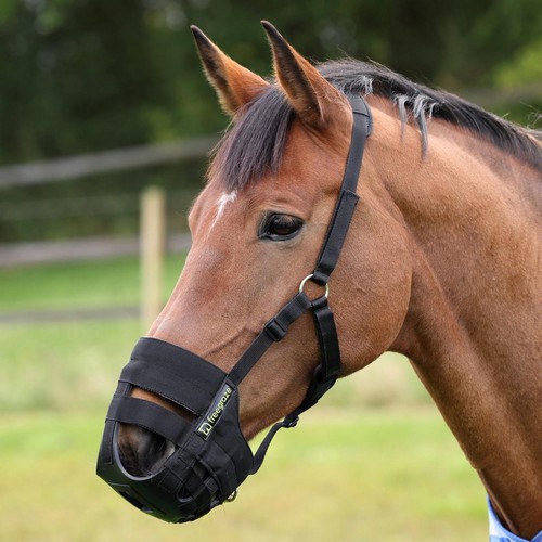 Horse grazing muzzle - horse,