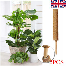 2X Moss Pole for Plant