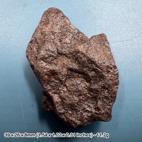 Common chondrite high iron - h5,