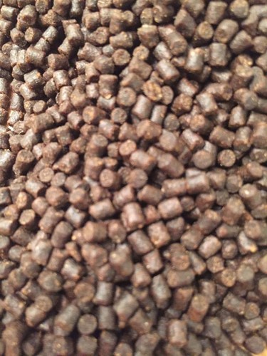 Pmf koi protein premium - koi,