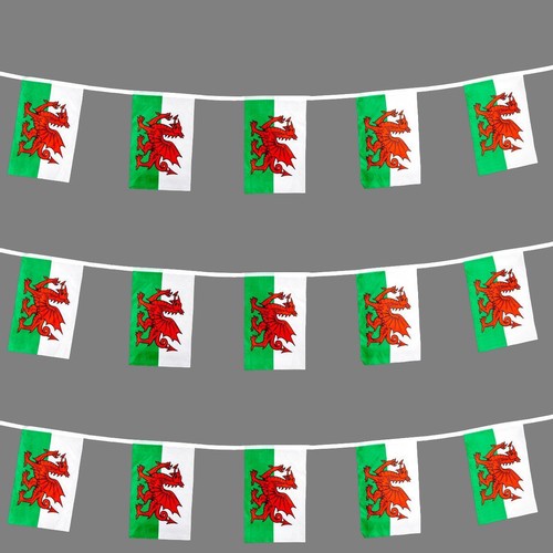 10m welsh bunting - 30, fabric