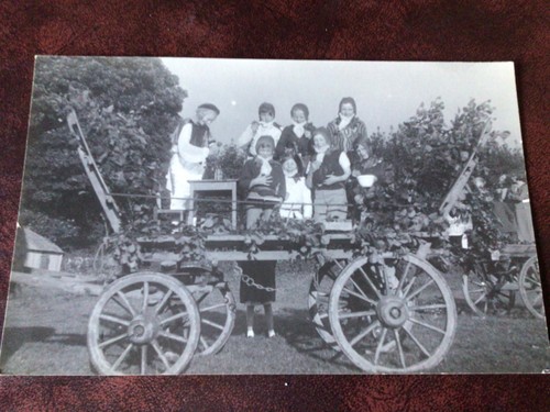 Horse drawn wagon - wagon, carnival